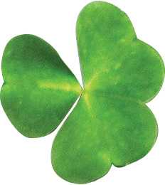 Clover Leaf